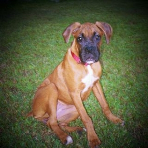 My Leila