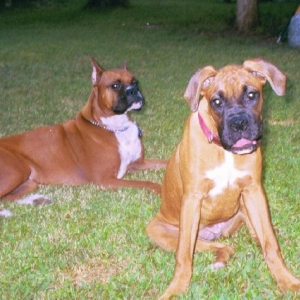 Cisco and Leila