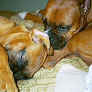 Bedtime