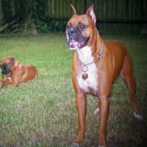 Cisco and Leila