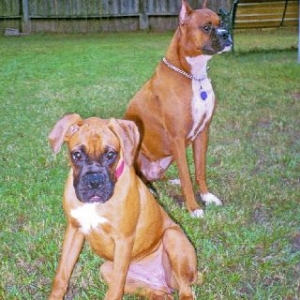 Leila and Cisco