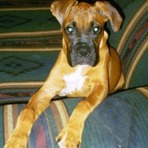 Sittin Pretty - Leila