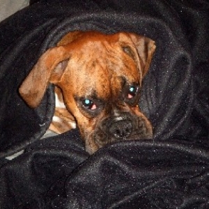 Snuggled in