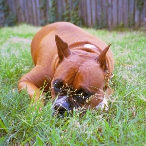 Peek-a-boo Cisco