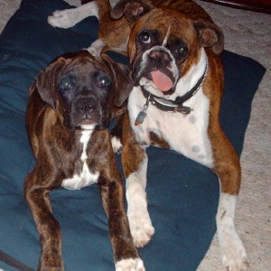 Best friends