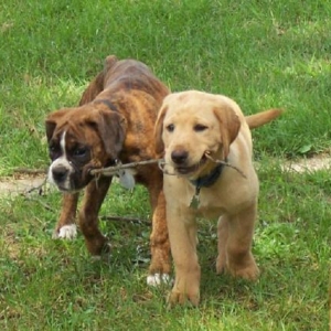 Chloe and Zeke