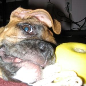 CE-CE BEING LAZY WITH HER TOY