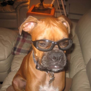 Bosco wearing my Harley goggles