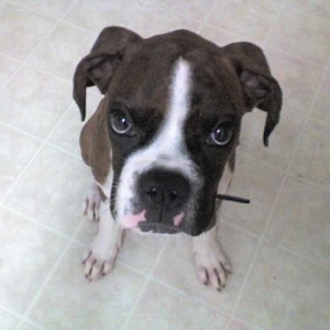 Where's my treat?
