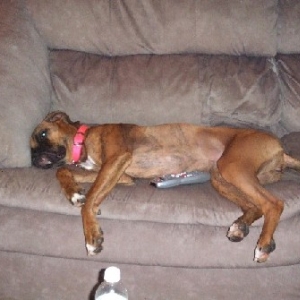 Rough Day