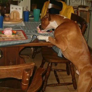 Caught in the act!