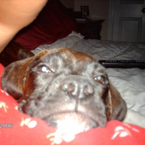 Boodan sleepin on mama