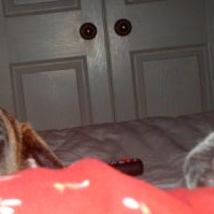 Sleeping boxers