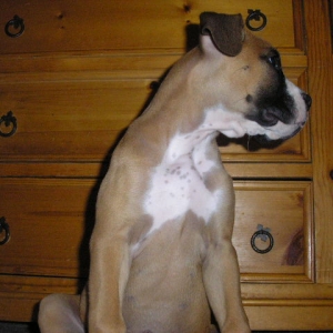 Getting Big
