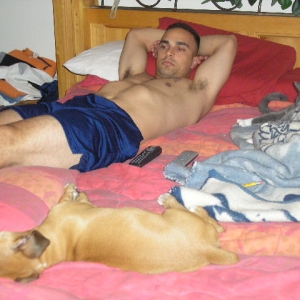 Lazy Human,Lazy Cat, Lazy Dog!