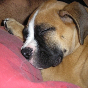 Sleeping Love