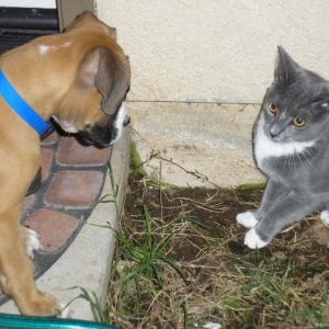 Wanna play with me