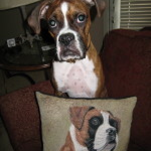 Mojo pillow