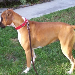 Samantha - 14 Month's Old