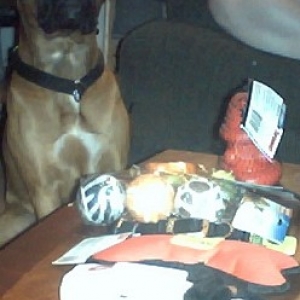 Sam's presents