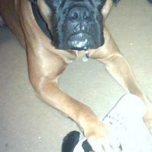 Thanx 4 the toy