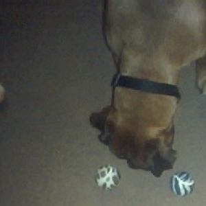 Sam's new toys