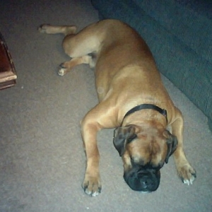 Sleeping