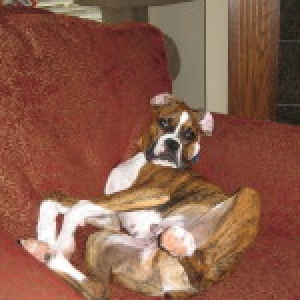 He has such a rough life!
