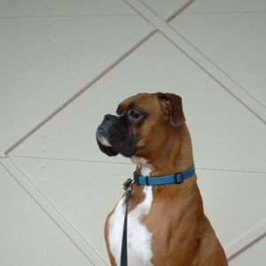 Samson