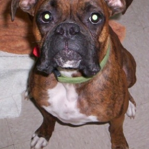 Shaylea girl