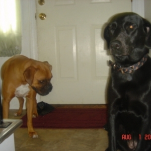 Maddie & Gracie
