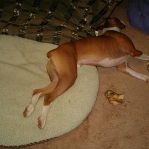 Riley is POOPED!