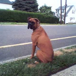 waiting_for_daddy1