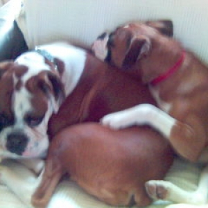 Our Precious Babies!