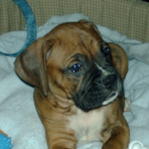 cutesy-poo