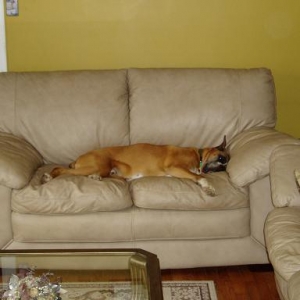 The Love Seat
