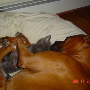 Madison's new buddy