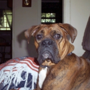 Gabby