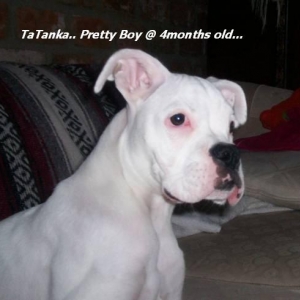 TaTanka_Pretty_boy