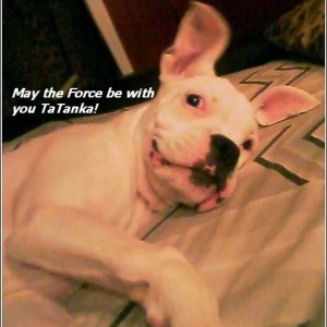 TaTanka_Force_be_with_you