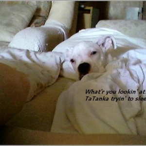 What_are_you_lookin_at