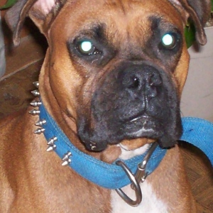 Stryder