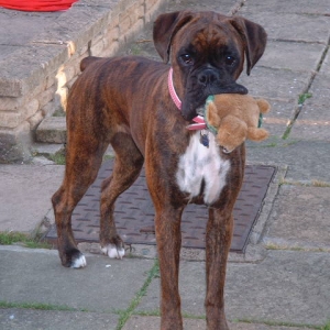 Lola 7th sept 06