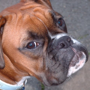 Zeb 7th Sept 06