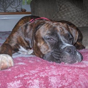 Taking a nap