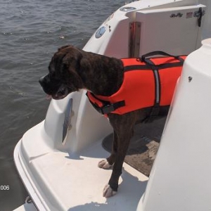 Boating