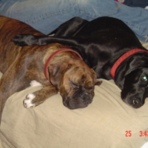 Buddies 4 life!