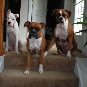 image00011