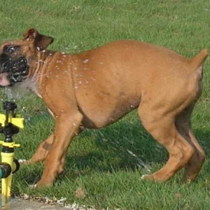 Watering my face!