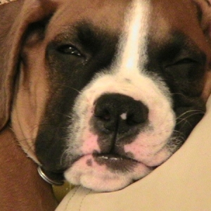 winking